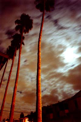 Photographs of Newport Beach and Orange County, California.