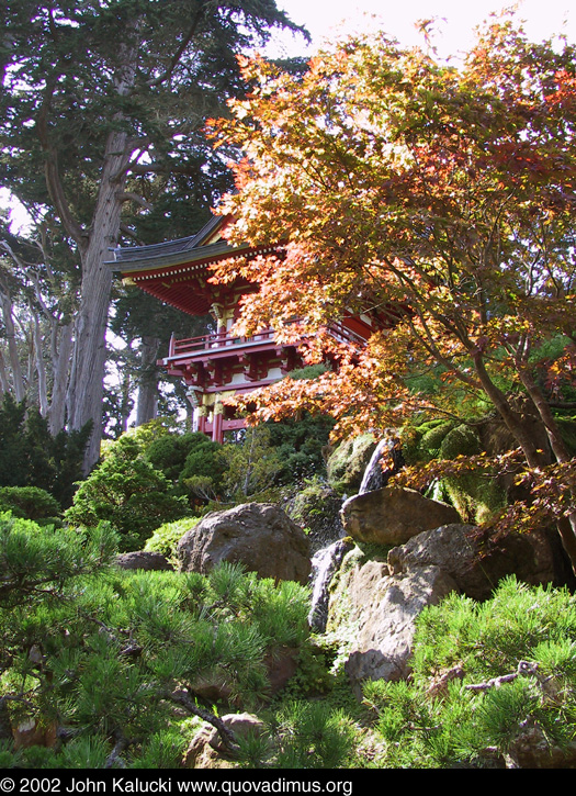 Photographs of the Japanese Tea Garden in Golden Gate Park, San Francisco, California.
