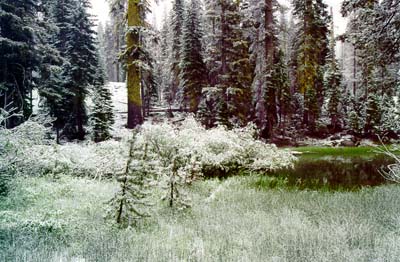 Photographs of Lassen National Volcanic Park during a late June snowstorm.