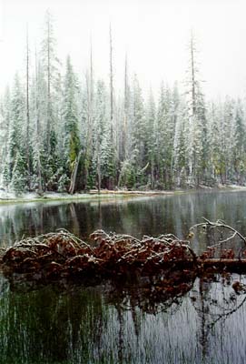 Photographs of Lassen National Volcanic Park during a late June snowstorm.