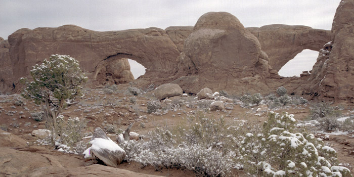 Winter photographs of the Windows area, Arches National Park, Utah.